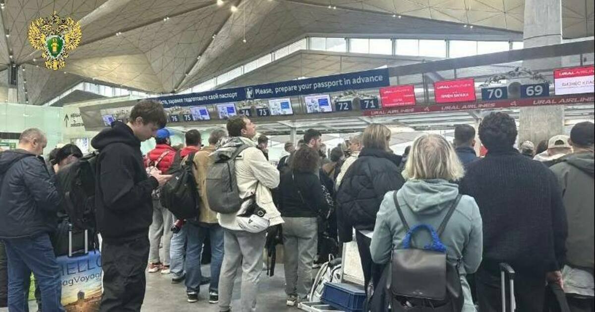 Сбои в Пулково и Храброво: итоги задержек рейсов (Trend Summary)