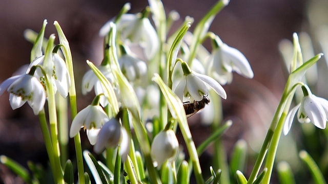 Не говори слово «здравствуйте» и оставь кукушку в покое: приметы на 24 марта