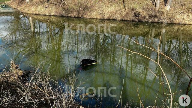 Водитель авто, вылетевшего в ров равелина Хаберберг на Киевской, был пьян и ездил без прав