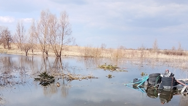 Виноваты канал и бобры: в подтопленном посёлке в Озёрском районе нашли «критические нарушения»  