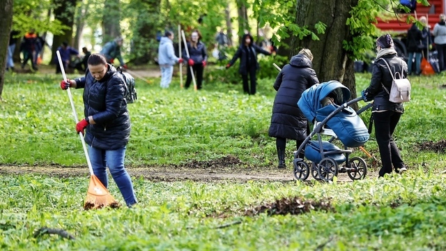 Калининградцев приглашают в парки на предпасхальный субботник и обещают бесплатные дровишки 