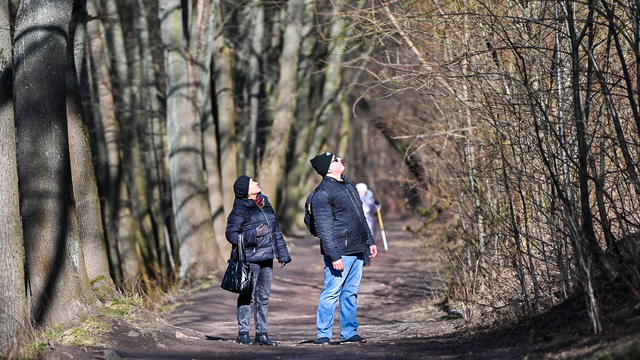 Во время строительства дублёра Литовского вала в Калининграде появятся очень необычные релоканты
