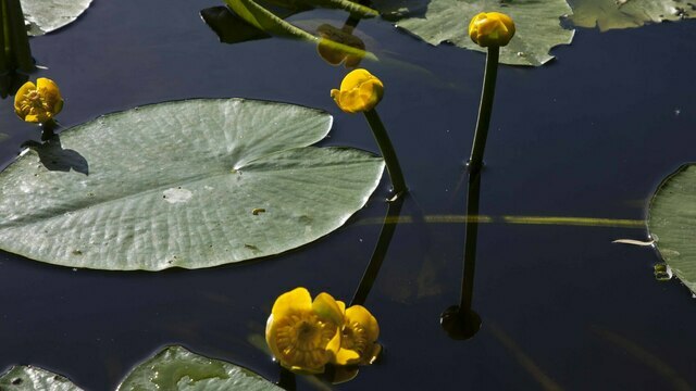 Не разжигай огонь и не поднимай тяжести: приметы на 29 марта