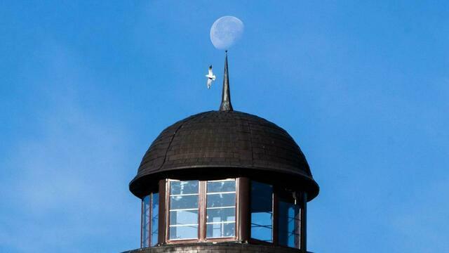 На Луне обнаружили новый гигантский кратер