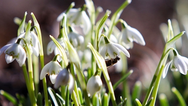 Не проливай воду и экономь деньги: приметы на 30 марта