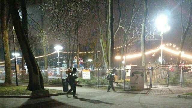 Парки Калининграда обработали от клещей и крыс (фото)  