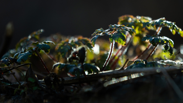 Не ходи как замарашка и поддерживай тех, кто просит о помощи: приметы на 1 апреля