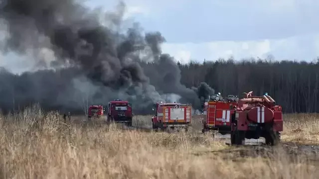За пал травы калининградцев оштрафуют: заплатить можно как 20 тысяч, так и 2 миллиона