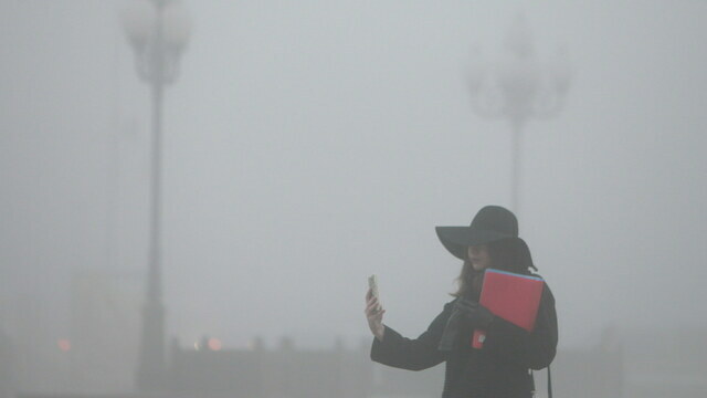 Туманы с видимостью до 150 метров и до +13: прогноз в Калининградской области на 1 апреля