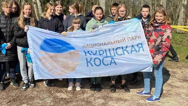 На Куршскую косу зовут волонтёров 
