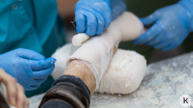 В калининградском минздраве рассказали, сколько врачей подрабатывают в частных клиниках и откуда приезжают в регион   