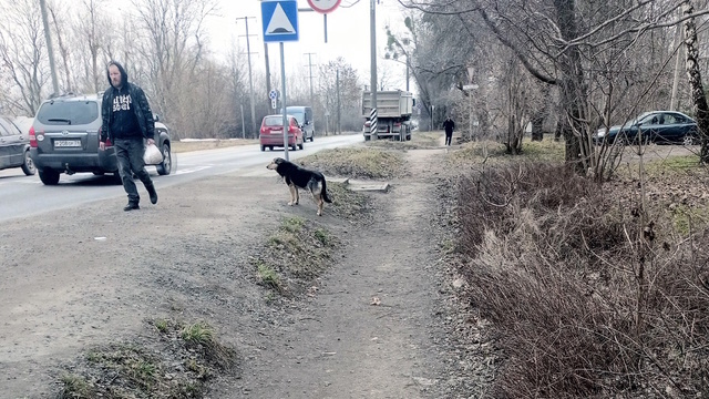 Здесь мог быть ваш тротуар: на Емельянова пешеходная дорожка исчезла под слоем грязи (фото)  