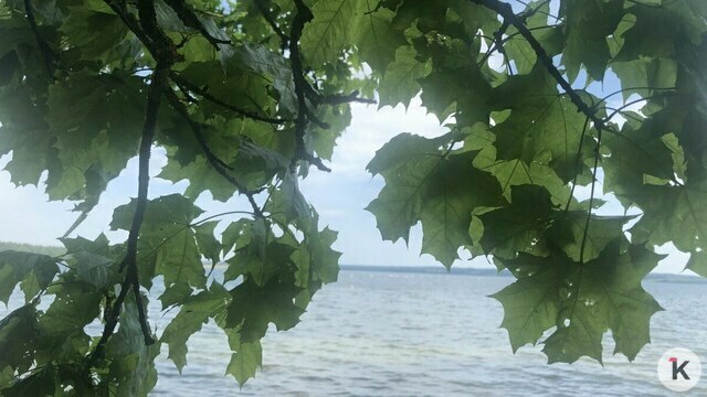 Залатить за посещение Виштынецкого нацпарка пока можно только онлайн 