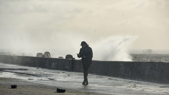 В Калининградской области ожидается сильный ветер: объявлено предупреждение