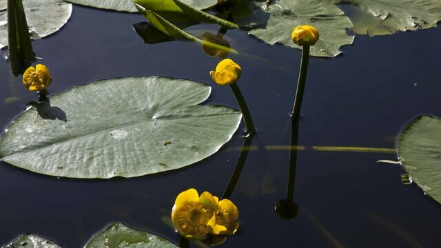 Не сквернословь и не отказывай в помощи: приметы на 5 апреля