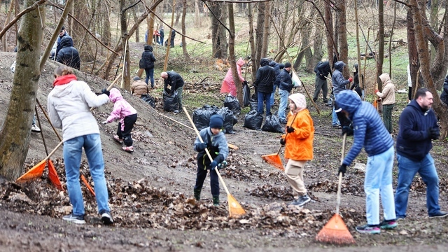 Дождь уборке не помеха: в Калининграде прошёл общегородской субботник (фоторепортаж)