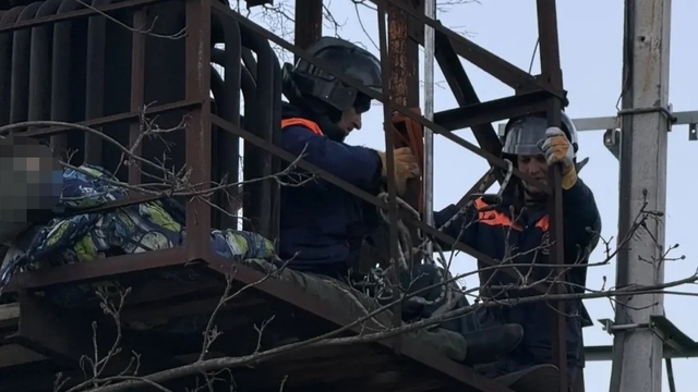 Сняли с высоты семь метров: в Мамоново от удара током погиб 14-летний мальчик (фото с места ЧП)