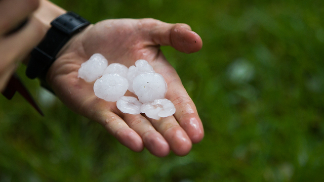 Не пересчитывай деньги и прислушайся к пению птиц: приметы на 6 апреля