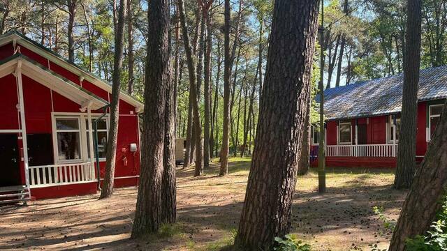 Во всех загородных лагерях Калининградской области будут дежурить врачи — Бабура 