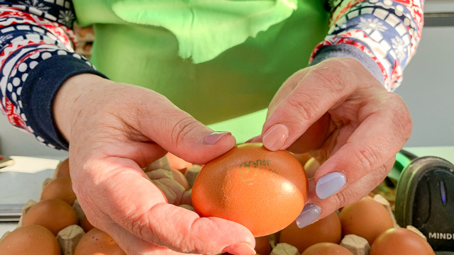 Власти пообещали контролировать цены на яйца перед Пасхой