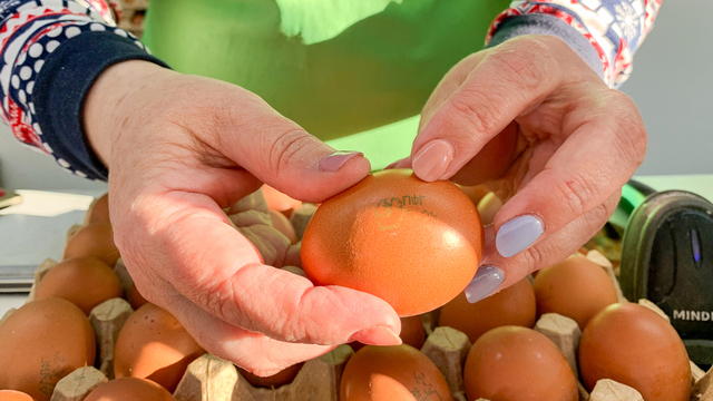 Власти пообещали контролировать цены на яйца перед Пасхой