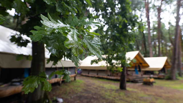 Три недели на природе: сколько стоит отдых в детских лагерях Калининградской области