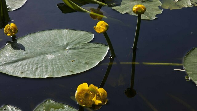 Не ругайся дома и не работай через силу: приметы на 9 апреля