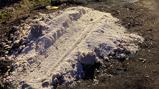 Сугроб из дорожной соли «забыли» в Калининграде на проспекте Победы (фото)  