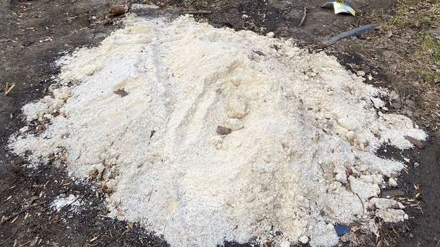 Сугроб из дорожной соли «забыли» в Калининграде на проспекте Победы (фото)  