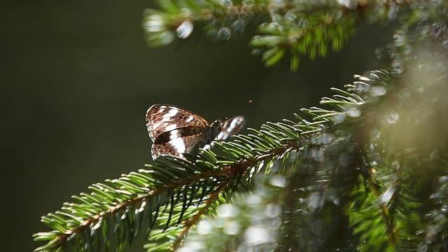 Не сетуй на жизнь и пожалей свой кошелёк: приметы на 10 апреля