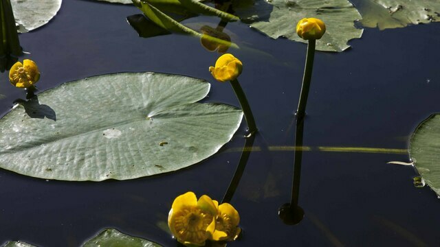 Не стриги волосы и не храни рваные банкноты в кошельке: приметы на 11 октября