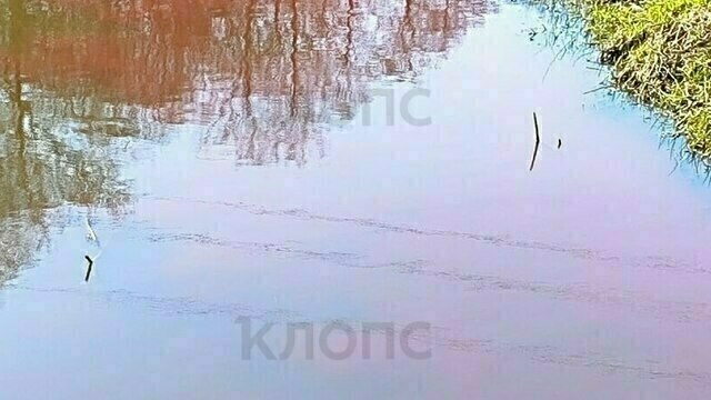 «То ли кровь, то ли краска»: река Гурьевка внезапно окрасилась в красный цвет (фото, видео)