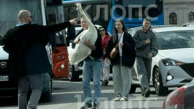 Гибель семьи в горящей калининградской высотке и рухнувший с неба лебедь: 8 событий минувших выходных  