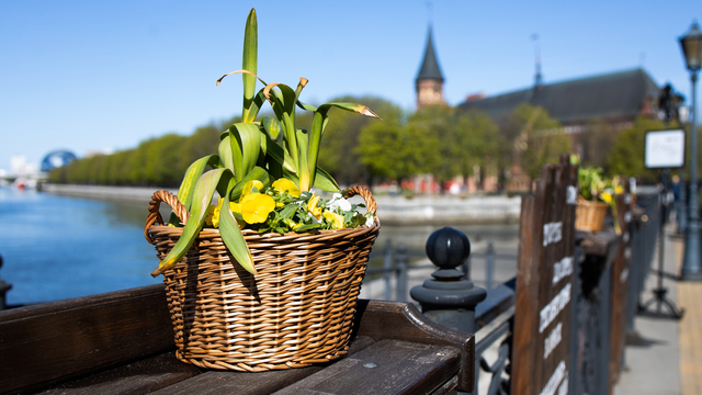 Не жарь на растительном масле и смилуйся над малюткой-пауком: приметы на 14 апреля