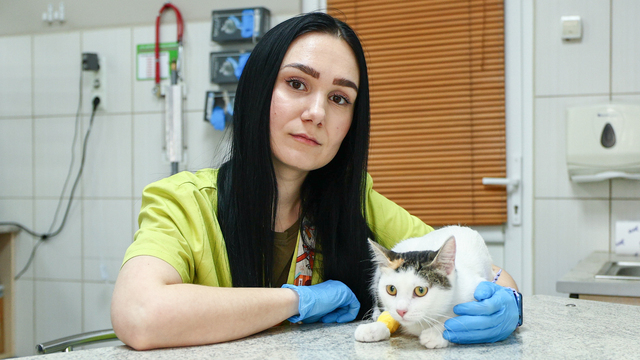 В Калининграде клещи кусают животных круглый год