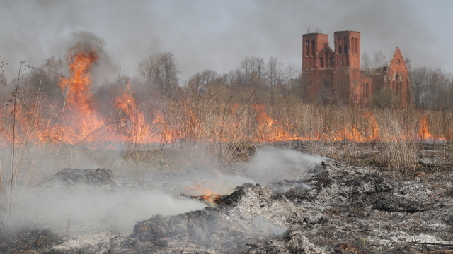 С 15 апреля по 31 мая: в Калининградской области вводится особый противопожарный режим
