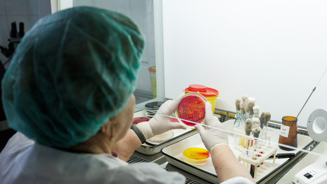 Исследование как момент истины: бактериологов называют разведчиками от медицины