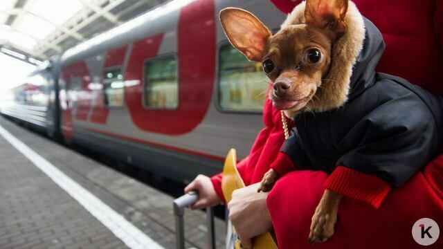 Власти предлагают турфирмам 104,5 млн за поездки калининградцев по программе «Мы — россияне»  