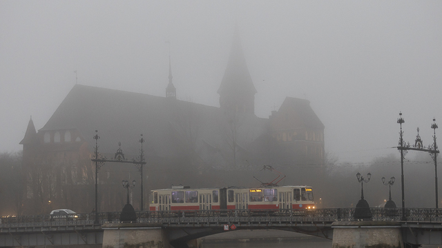 Туман, дожди и до +12°C: погода в Калининградской области на 17 апреля