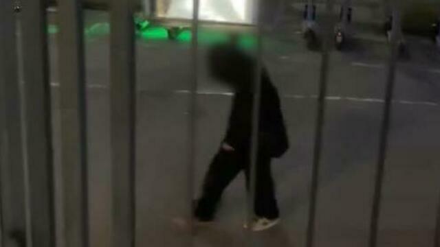 «Дети не в себе!»: два хулигана терроризируют суши-бары в центре Калининграда (видео) 