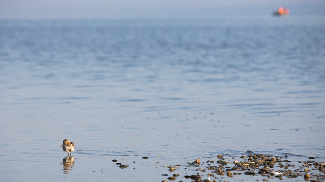 Не откровенничай с незнакомцами и контролируй эмоции: приметы на 17 апреля
