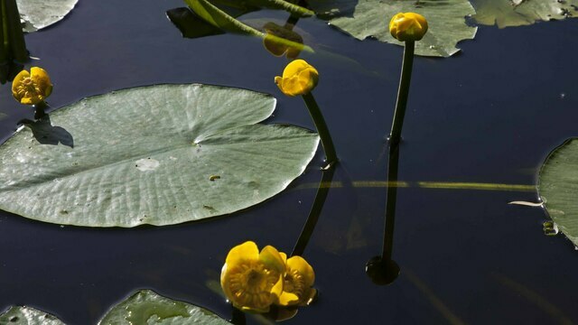 Не иди против ветра и не разговаривай на пороге: приметы на 18 апреля