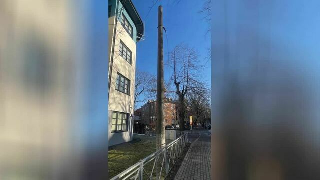 В Калининграде ищут владельца старого бетонного столба, который торчит на территории поликлиники (фото)  