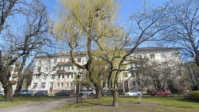 «Где моя магнолия, заблудилась что ли я?»: музыкальный дайджест калининградских новостей за неделю (видео)  