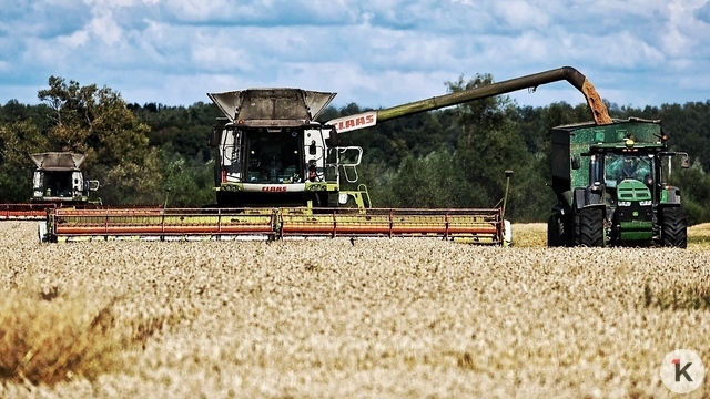 В Калининградской области установлен рекорд по урожайности зерновых  