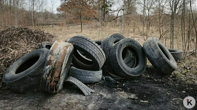 «Дикий способ»: эксперт рассказал, для чего в Калининградской области сжигают старые покрышки  