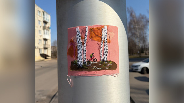 Каштаны, чайки, котики и аисты: на улицах Калининграда и области появились необычные вышитые картины (фото)
