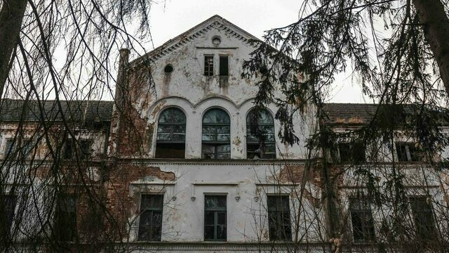 Инвестор из Казани начал преображение Алленберга с субботника