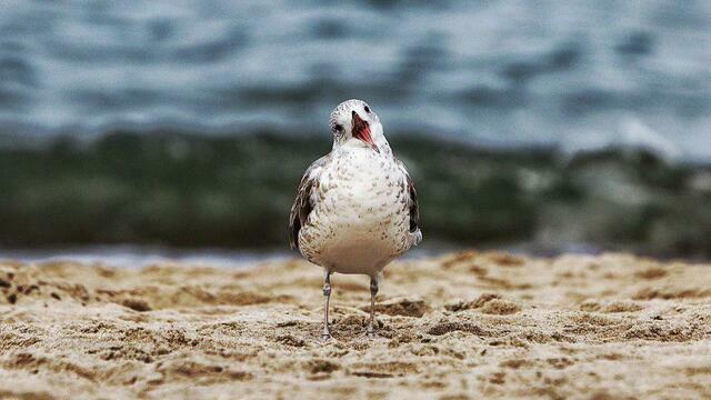 Перенеси помолвку и отложи рукоделие: приметы на 23 апреля