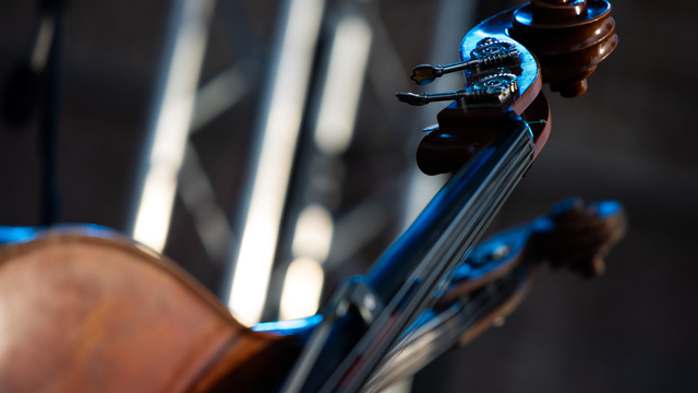 Поэты, эксперт по кухне и ветераны «Спартака»: 7 бесплатных поводов выйти из дома в выходные